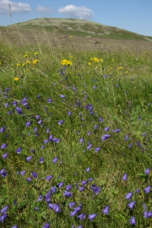 Nationalpark Riesengebirge, Foto: Archiv Vydavatelství MCU s.r.o.